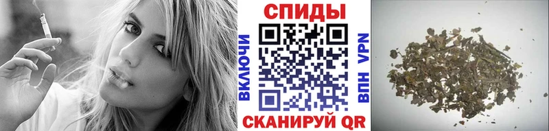 где найти   Вологда  Бутират буратино 