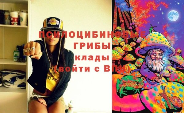 хмурый Горно-Алтайск