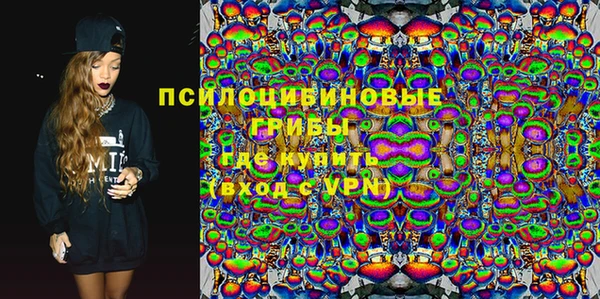 apvp Горняк