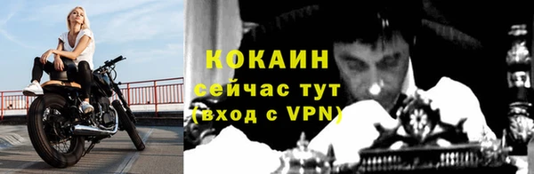 хмурый Горно-Алтайск