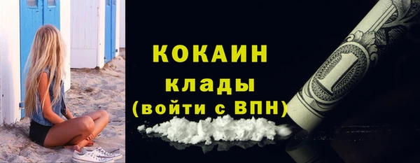 apvp Горняк