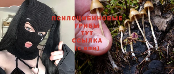 apvp Горняк