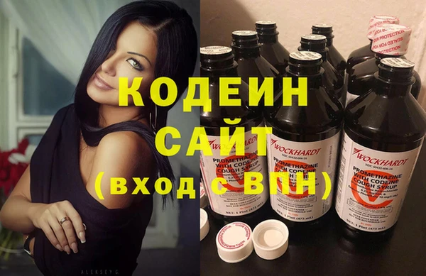хмурый Горно-Алтайск