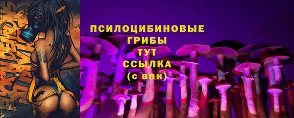 apvp Горняк