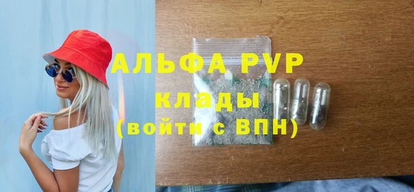 apvp Горняк