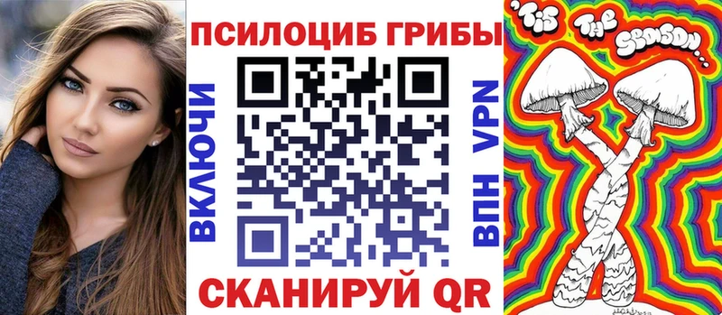 Псилоцибиновые грибы Magic Shrooms  МЕГА онион  Вологда 